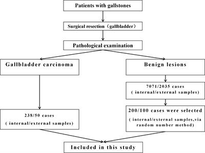 Risk factor analysis and construction of prediction models of gallbladder carcinoma in patients with gallstones